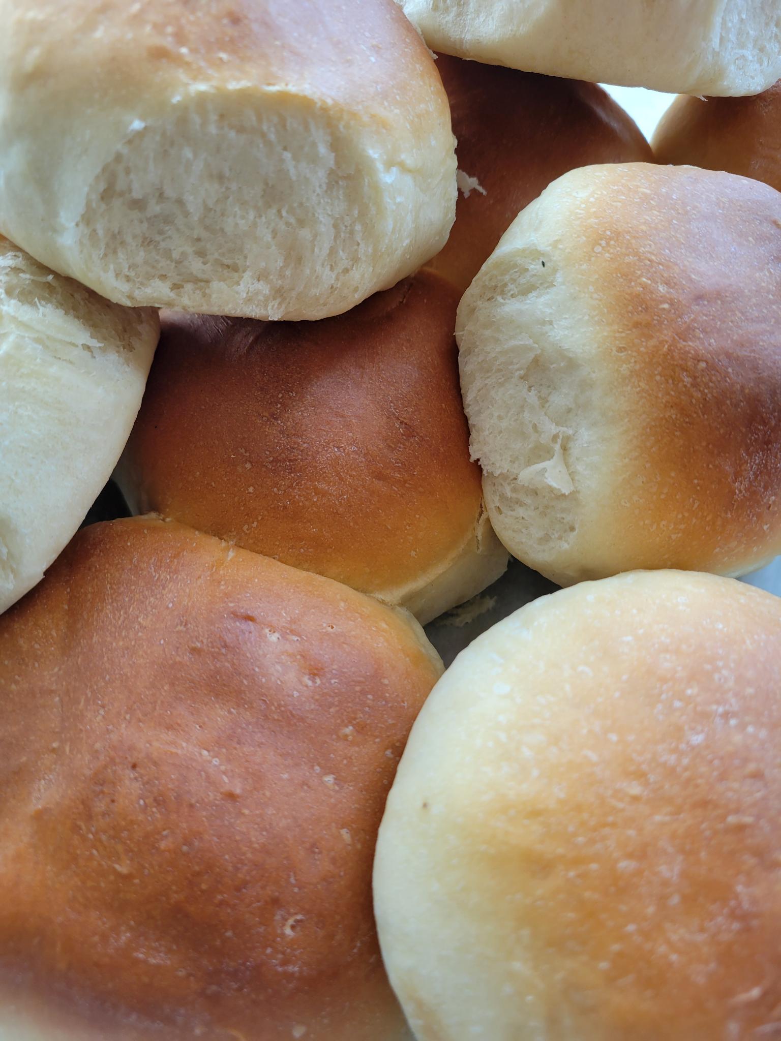 Dinner Buns